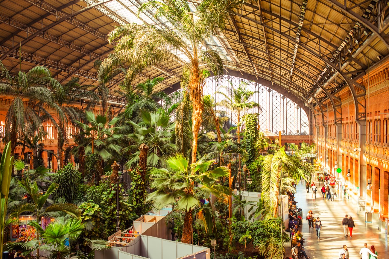 Tropical garden in the middle of the Atocha train station, Madrid