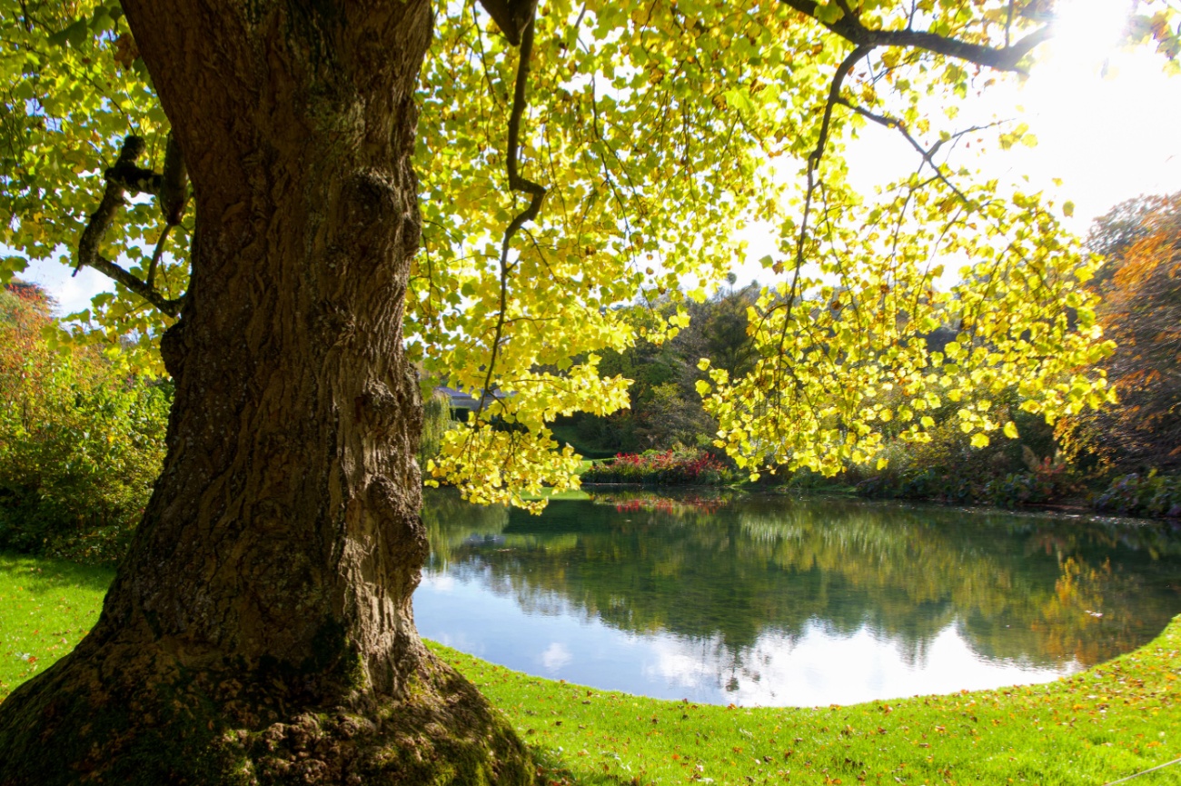 Dyrham Park, Bath, UK