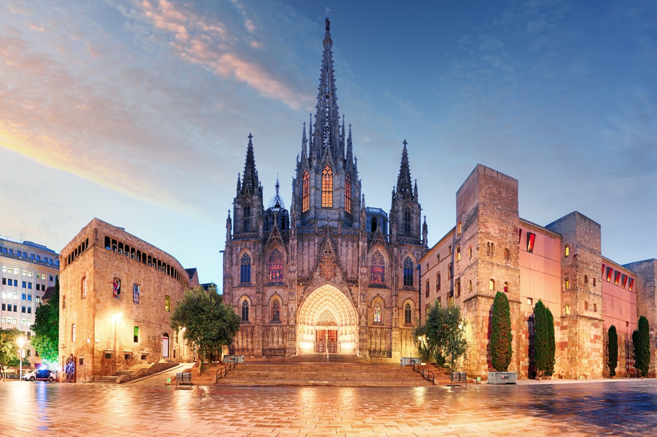 Gothic Barcelona Cathedral at night, Spain, Europe